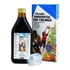 POWER HEALTH Floradix - Kindervital For Children Συμπλήρωμα Διατροφής Για Παιδιά Σιρόπι 250ml