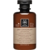 APIVITA Dry Dandruff Shampoo - Σαμπουάν Κατά της Ξηροδερμίας & Της Πιτυρίδας 250ml
