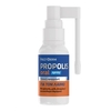 FREZYDERM Propolis Oral Spray  Συμπλήρωμα Διατροφής Για Τον Ερεθισμένο Λαιμό 30ml